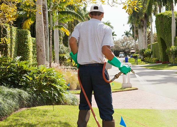 About Mebane NC Pest Control Pros